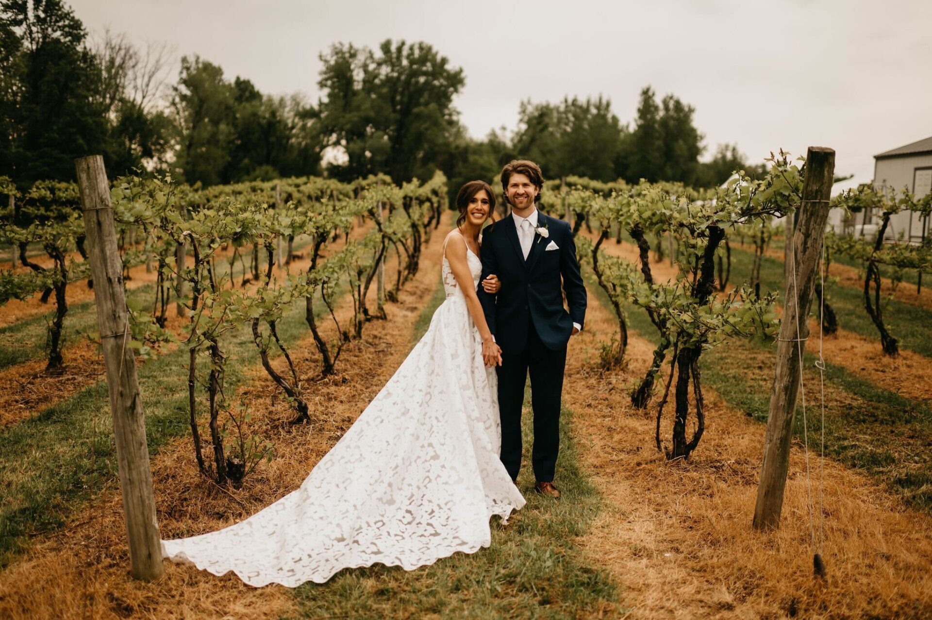 shotley vineyard