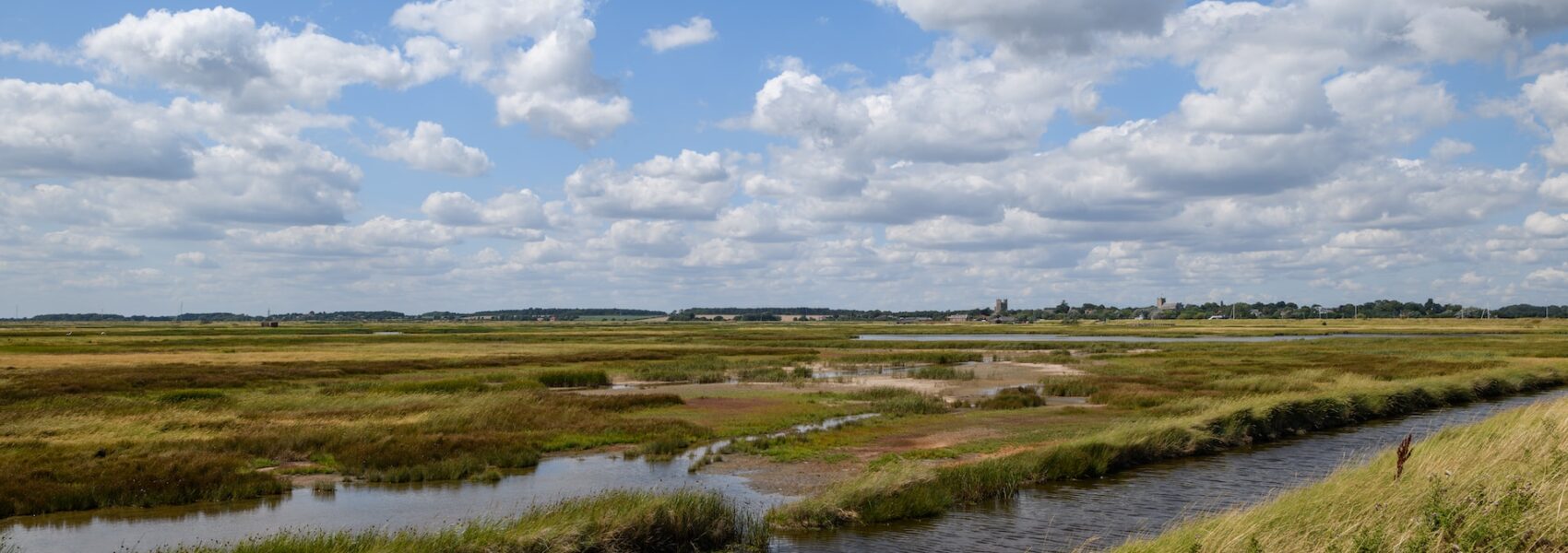 Green marshy landscape with a river running through it and blue sky in the background
