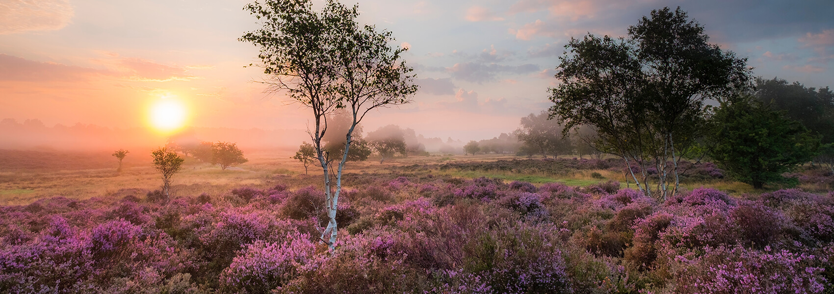 Holiday home management