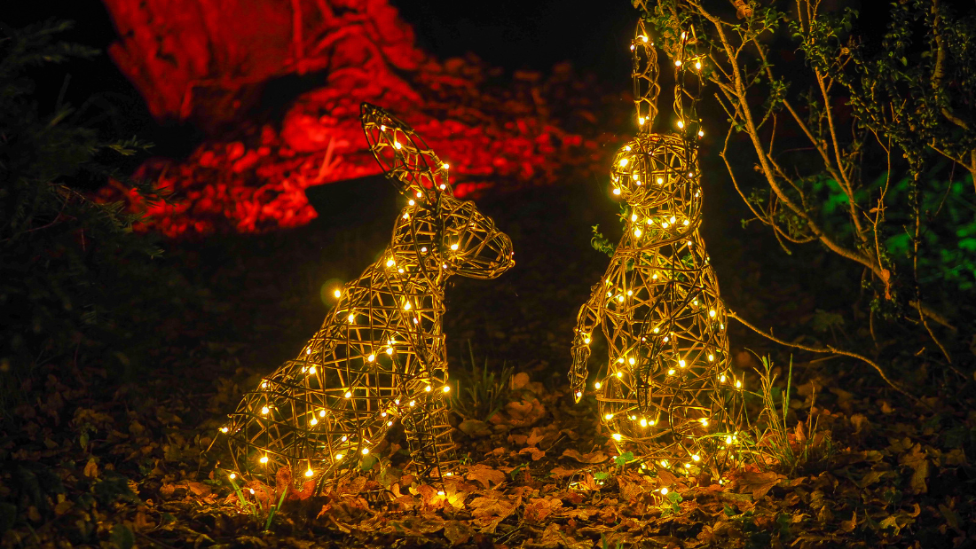Two bunny lights at the Illuminated Garden Trail at Helmingham Hall Gardens